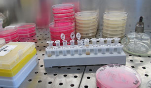 物料測(cè)試與分析