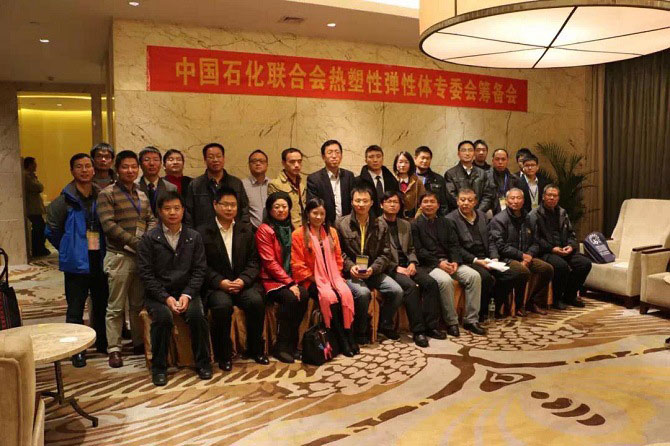 晨美顏料色母?？偨?jīng)理劉秋珍參與中國石化聯(lián)合會(huì)熱塑性彈性體委員會(huì)籌備會(huì)